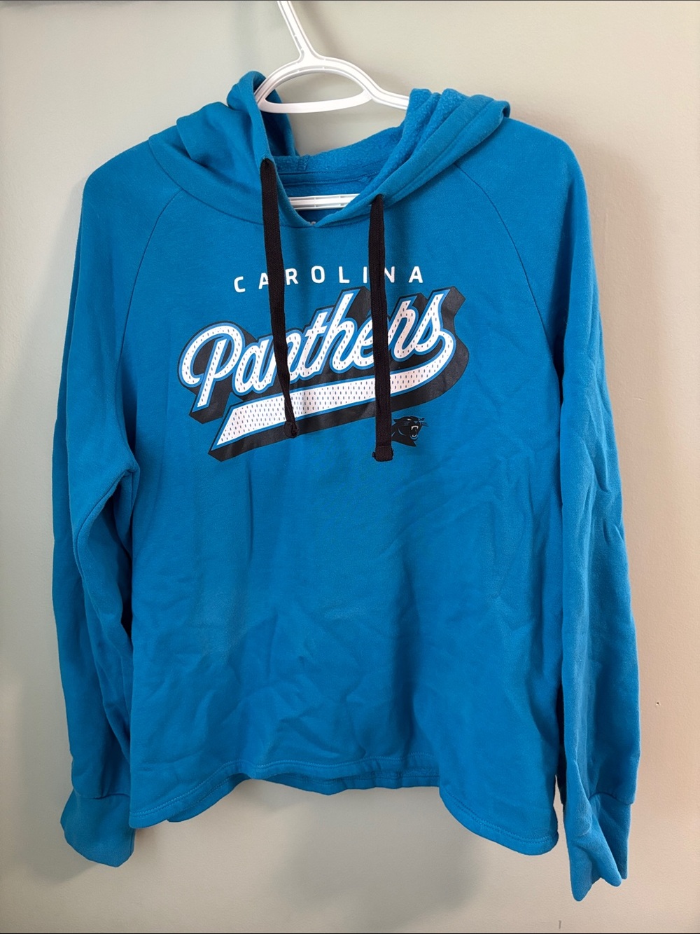 Champion Carolina Panthers Bright Teal Hoodie Sweatshirt